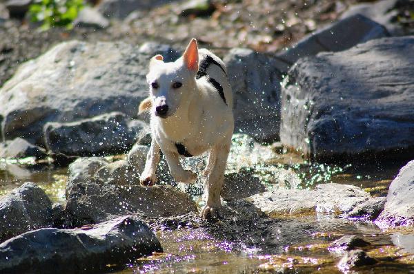 🌸 LILY – 6 MESI DI TENEREZZA! 🌸 Foto 8